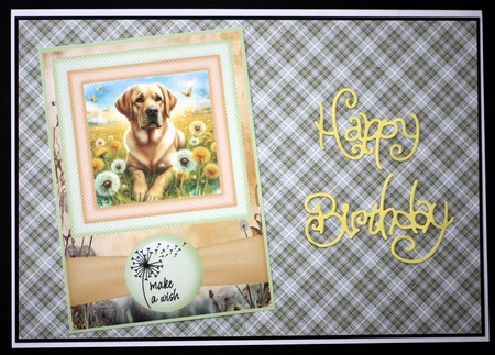 2 Make a wish pup card fronts 1 by Marion Kimberley-Scott
