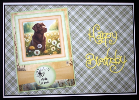 2 Make a wish pup card fronts 1 by Marion Kimberley-Scott