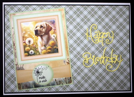 2 Make a wish pup card fronts 4 by Marion Kimberley-Scott