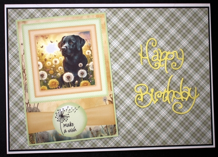 2 Make a wish pup card fronts 4 by Marion Kimberley-Scott