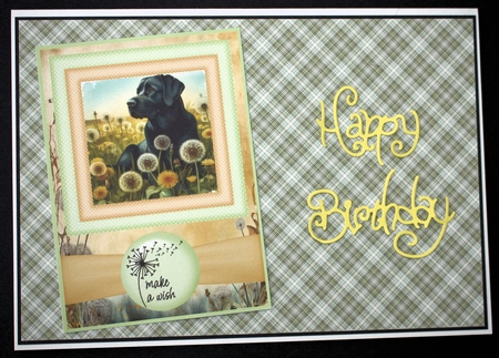 2 Make a wish pup card fronts 5 by Marion Kimberley-Scott