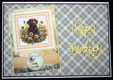 2 Make a wish pup card fronts 5 by Marion Kimberley-Scott
