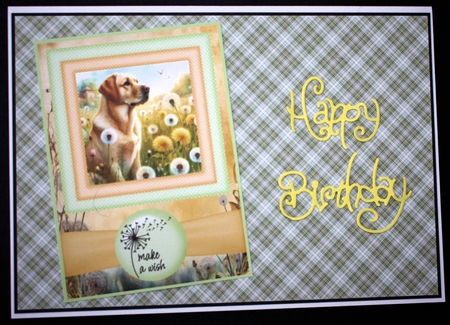 2 Make a wish pup card fronts 6 by Marion Kimberley-Scott