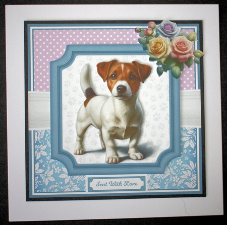 6X6 & 5X7 FURBABIES by Marion Kimberley-Scott