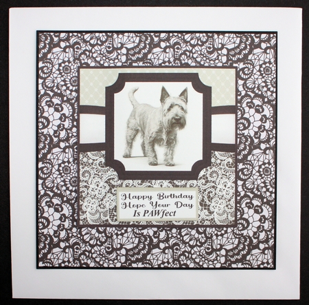 6x6 aprox Mono Scottish terrier card front 4 by Marion Kimberley-Scott