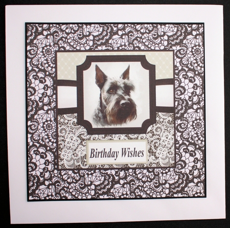 6x6 aprox Mono Scottish terrier card front 11 by Marion Kimberley-Scott