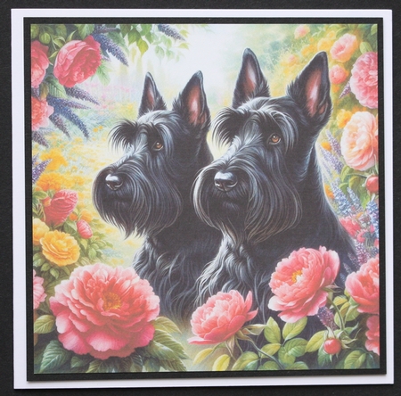 Spring Meadow Dogs 9 by Marion Kimberley-Scott