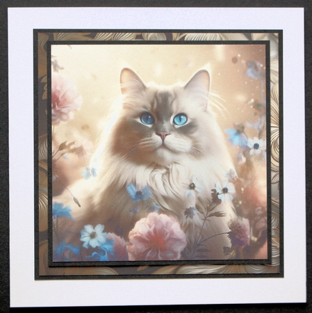 Ragdoll Cat and Flowers Mix 1 by Marion Kimberley-Scott