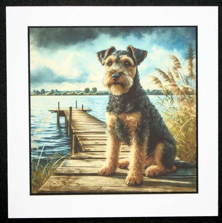Sitting On The Dock Of A Bay Dogs 9 by Marion Kimberley-Scott