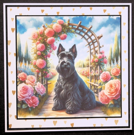 TrellyRose Dogs 6 by Marion Kimberley-Scott