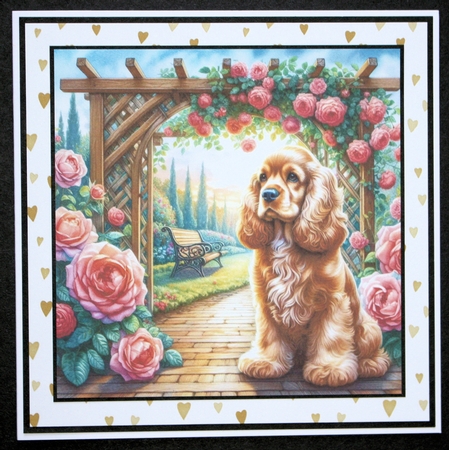 TrellyRose Dogs 8 by Marion Kimberley-Scott