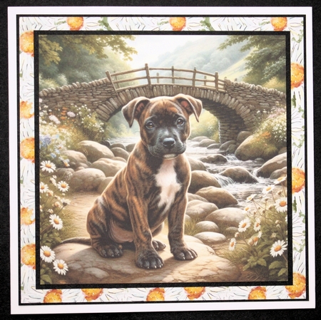 Daisy Creek Pups 6 by Marion Kimberley-Scott