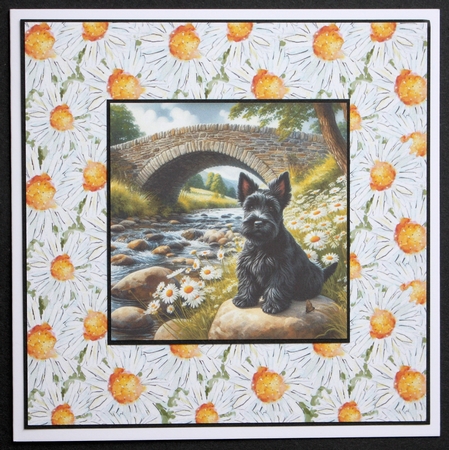 Daisy Creek Pups 7 by Marion Kimberley-Scott