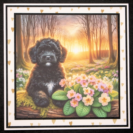 Primrose Forest Pups 3 by Marion Kimberley-Scott