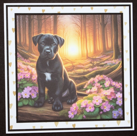 Primrose Forest Pups 7 by Marion Kimberley-Scott