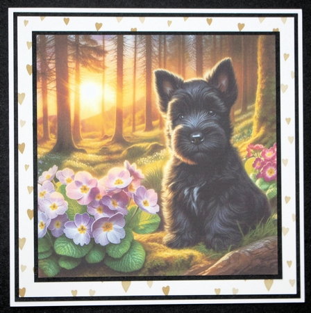 Primrose Forest Pups 8 by Marion Kimberley-Scott