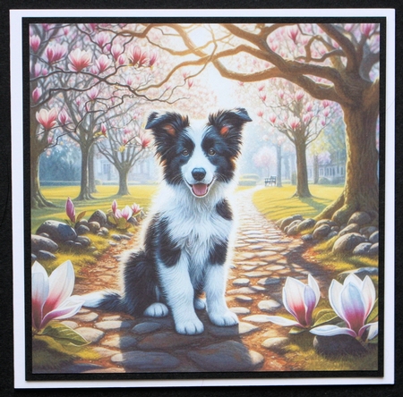 Magnolia Grove Pups 2 by Marion Kimberley-Scott