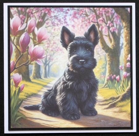 Magnolia Grove Pups 4 by Marion Kimberley-Scott