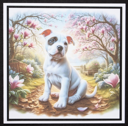 Magnolia Grove Pups 10 by Marion Kimberley-Scott
