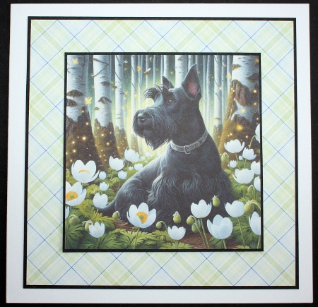 Beautiful Birch Forest Dogs 4 by Marion Kimberley-Scott
