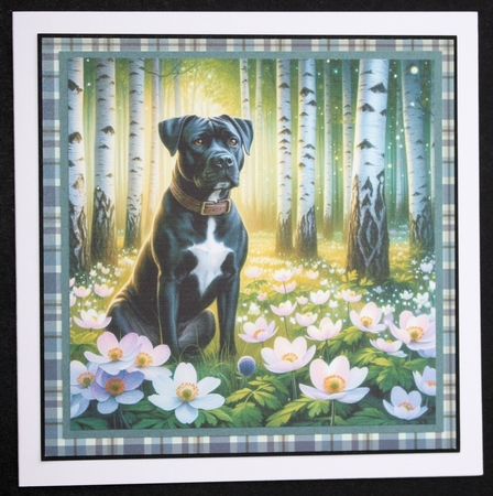 Beautiful Birch Forest Dogs 9 by Marion Kimberley-Scott