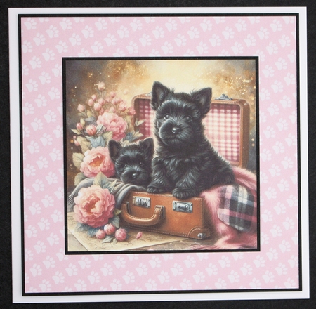 Suitcase Pups 8 by Marion Kimberley-Scott