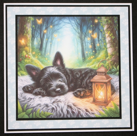 Firefly Lantern Pups 1 by Marion Kimberley-Scott