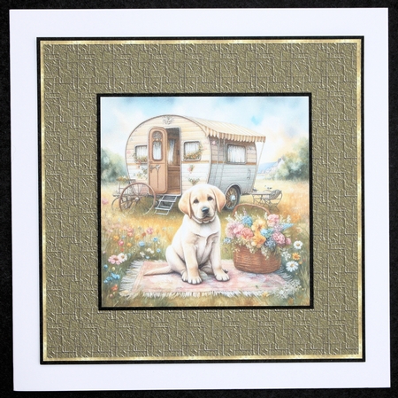 Caravan Pups 3 by Marion Kimberley-Scott
