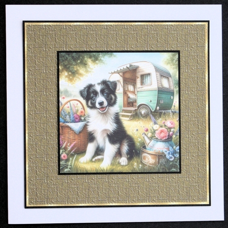 Caravan Pups 10 by Marion Kimberley-Scott