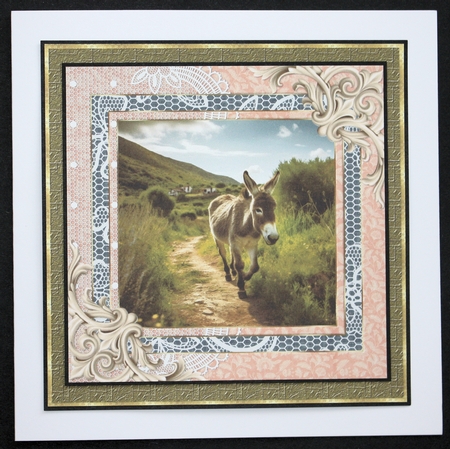 All about the donkey card front 2 by Marion Kimberley-Scott