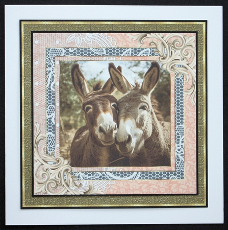 All about the donkey card front 7 by Marion Kimberley-Scott
