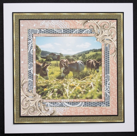 All about the donkey card front 11 by Marion Kimberley-Scott
