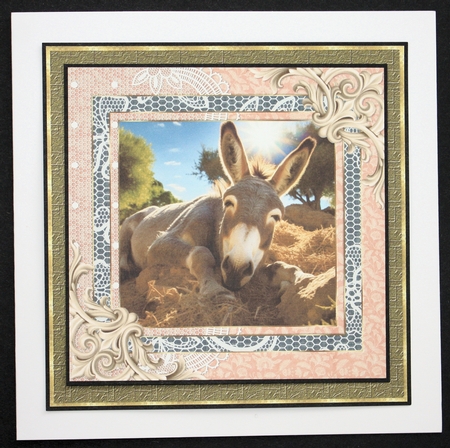 All about the donkey card front 12 by Marion Kimberley-Scott