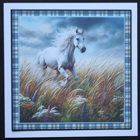 Wild and Free by Marion Kimberley-Scott