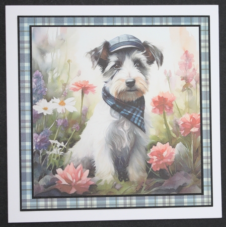Terrier puppies by Marion Kimberley-Scott