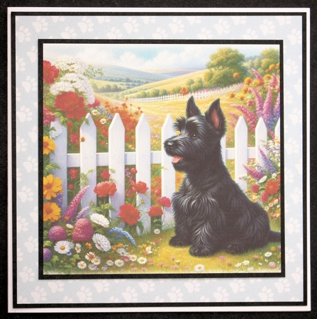 Picket Fence Pups 3 by Marion Kimberley-Scott