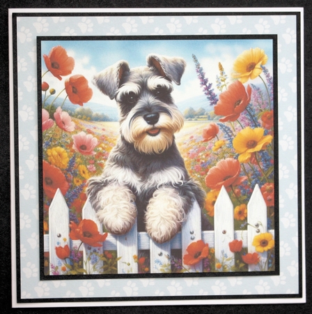 Picket Fence Pups 5 by Marion Kimberley-Scott