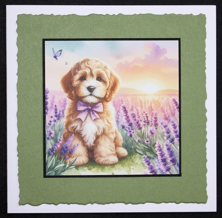 Lavender Fields Pups 3 by Marion Kimberley-Scott