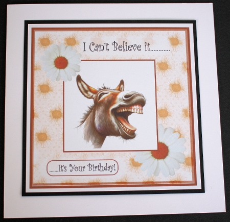 Funny Mule Birthday by Marion Kimberley-Scott