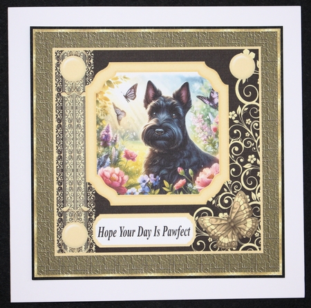 Black and yellow butterfly pup card front 1 by Marion Kimberley-Scott