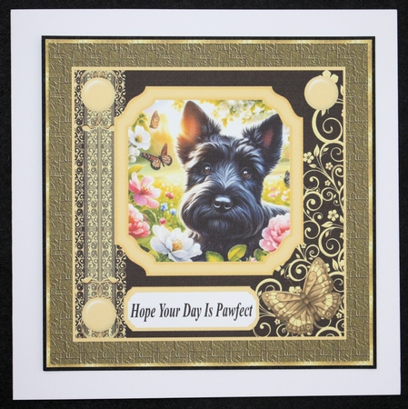Black and yellow butterfly pup card front 6 by Marion Kimberley-Scott