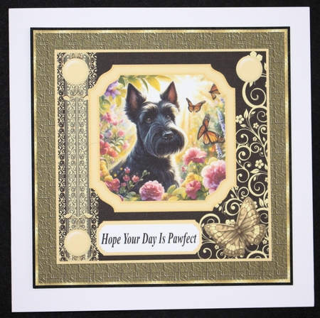 Black and yellow butterfly pup card front 7 by Marion Kimberley-Scott