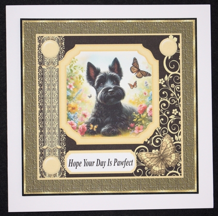 Black and yellow butterfly pup card front 8 by Marion Kimberley-Scott