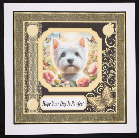Black and yellow butterfly pup card front 9 by Marion Kimberley-Scott