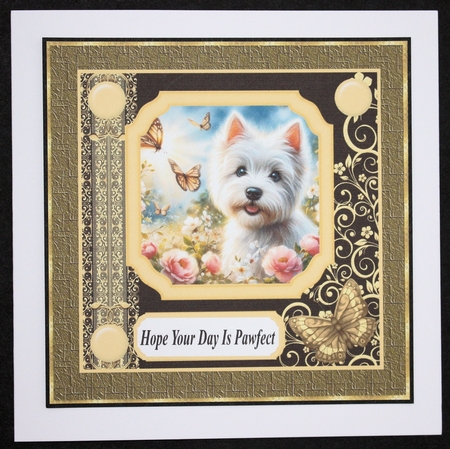 Black and yellow butterfly pup card front 10 by Marion Kimberley-Scott