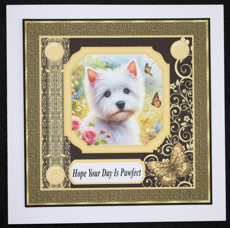 Black and yellow butterfly pup card front 11 by Marion Kimberley-Scott