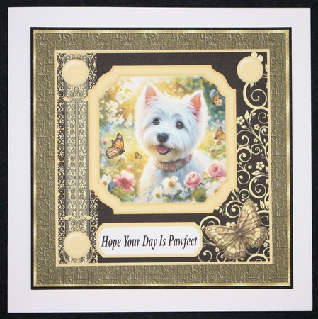 Black and yellow butterfly pup card front 12 by Marion Kimberley-Scott