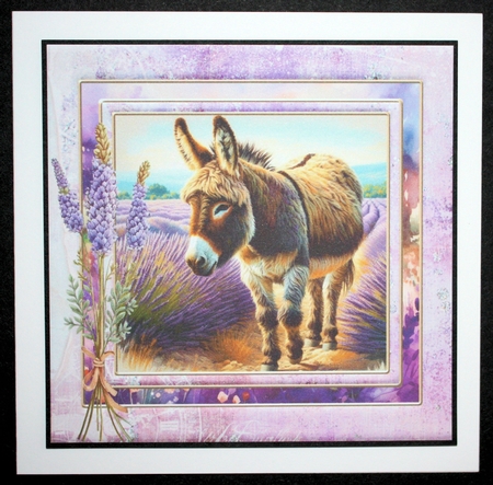 Donkey in a field of lavender card front 3 by Marion Kimberley-Scott