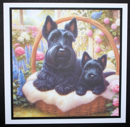 Charming Dog And Pups 6 by Marion Kimberley-Scott
