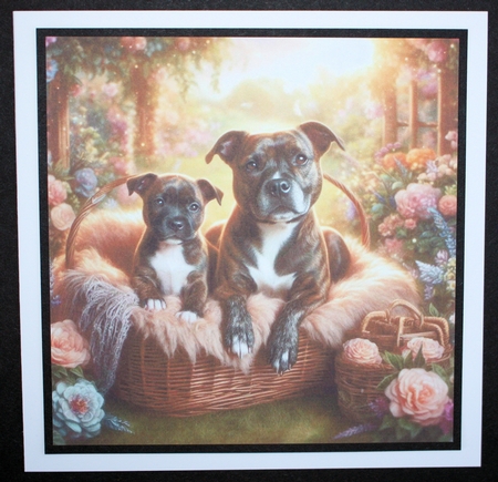 Charming Dog And Pups 10 by Marion Kimberley-Scott